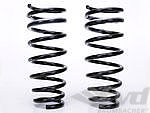 981 Lowering Springs PASM (without level regulation) (Tüv) 15-20mm