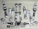 Schroth Shoulder Strap 6 point belt Flexi 2x2 (50/50mm) FIA approved silver
