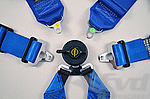 Schroth 6 point belt Flexi 2x2 (50/50mm)  Blue - FIA approved