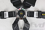 Schroth 6 point belt Profi 3x2 ( FIA ) Model 991 black with twist lock