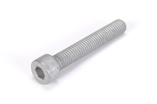 Pan Head Screw 8 x 50 mm - Galvanized