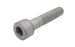 Axle Bolt - Rear - M10 x 50 mm