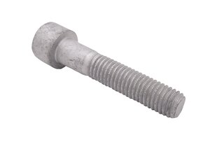 Axle Bolt - Rear - M10 x 50 mm