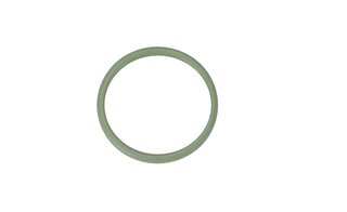 O-Ring 25,07x2,62