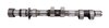 Camshaft Inlet 996 GT-3 Cup  ---04
