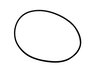 O- Ring Zylindergehäuse 110 x 2,50