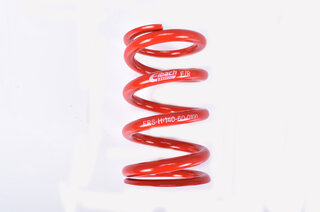 Hauptfeder 140-60-100