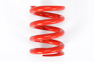 Main-spring 120-60-220