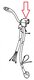 Commodo cligno/code-phares 911  74-75