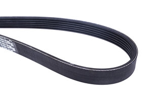 Poly-Rib Belt 965 - 6 PK 1555 - A/C Compressor