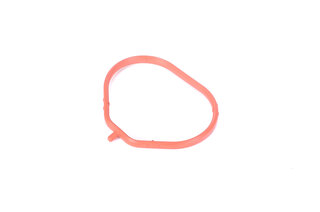 Intake Manifold Gasket