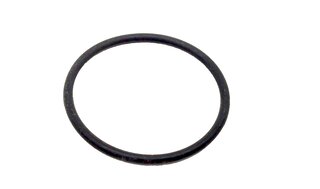 O-Ring 22 x 1,5mm Stellelement NW