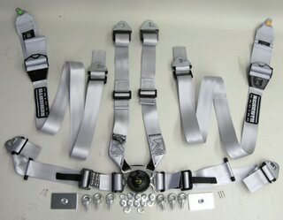 Schroth 6 Punkt Gurt Flexi 2x2 (50/50mm) silber  FIA