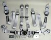 Schroth 6 Punkt Gurt Flexi 2x2 (50/50mm) silber  FIA