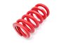 Main spring 170-60-200