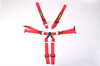 Schroth 6 point belt Profi 2x2 , FIA , Modell 996/997 -  RED  -  "Hans" specific  (2"/2" inch belt)