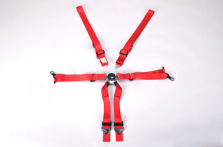 Schroth 6 point belt Profi 2x2 , FIA , Modell 996/997 -  RED  -  "Hans" specific  (2"/2" inch belt)