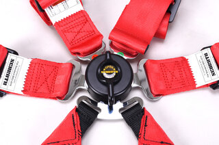 Schroth 6 point belt Profi 2x2 , FIA , Modell 996/997 -  RED  -  "Hans" specific  (2"/2" inch belt)
