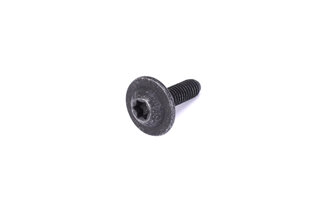 Oval Head Screw M6 x 20 for mount door trim panel 987/987C, 997/TT/GT2/GT3