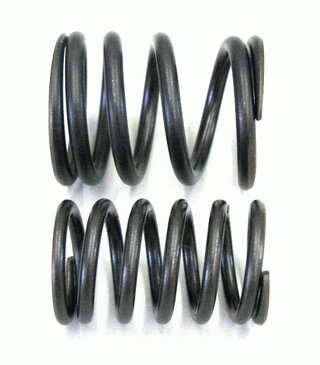 Valve spring kit OEM 911/964