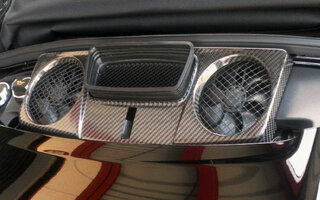Motorabdeckung Carbon 991