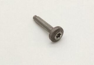 Linsenschraube Aluminium M6 x 30
