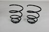 Front Spring Set 996 C4 / C4S - Coupe - Violet / Silver - Genuine