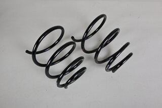 Front Spring Set 996 C4 / C4S - Coupe - Violet / Silver - Genuine