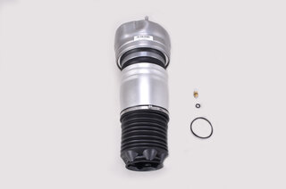 Amortisseur pneumatique AVD , 2010-2013, ( 350/351)