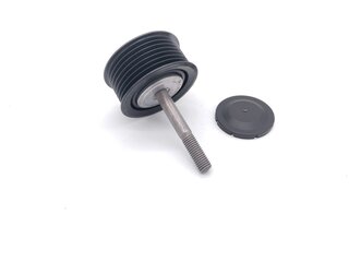 Umlenkrolle mit Befestigungsschraube und Schutzkappe