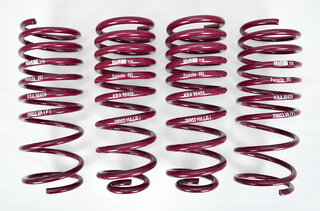 Lowering Spring Kit 993 C2/4 -  H&R ABE