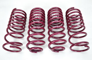 Lowering Spring Kit 993 C2/4 -  H&R ABE