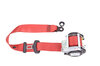 Seat belt , guards red