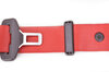 Seat belt , guards red