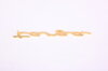 Logo gold  ("targa")