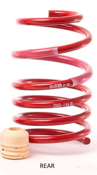 VTF Adjustable Lowering Springs 981 / 718 - H&R - With or Without PASM - TÜV Approved
