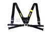 Schroth 4 Punkt Gurt Profi 2 ASM 76/50mm rechts schwarz  FIA, mit Flexibelt