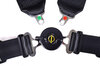 Schroth 4 Punkt Gurt Profi 2 ASM 76/50mm rechts schwarz  FIA, mit Flexibelt