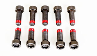 Flywheel Bolt Set - M10 x 1 x 29 - 10 Pieces
