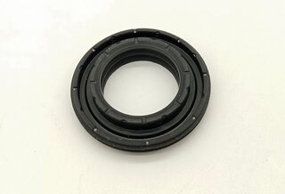 Dichtung Stellelement Nockenwelle