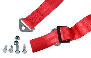 Schroth 6 point belt Profi 3x2 ( FIA ) Model 991 / 992 GT3 - Red - with twist lock