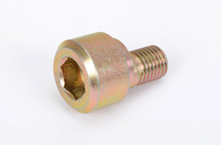 Eccentric Bolt for Adjusting Rear Camber 911 F Model / 912 - OEM