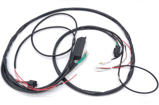 Wiring harness for fully electronic ignition with lambda regulation