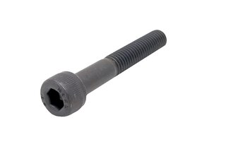 Cyl. Screw M8 x 50 mm ( Drive shaft )