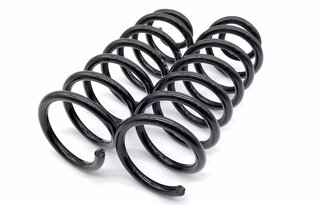 Spring Set - Rear - White-marked - Carrera - (033)