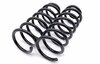 Spring Set - Rear - White-marked - Carrera - (033)