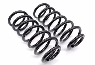Spring Set - Rear - White-marked - Carrera - (033)