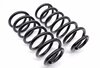 Spring Set - Rear - White-marked - Carrera - (033)