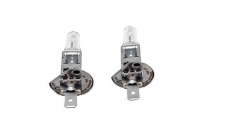 Jeu d'ampoules 12V H1 +60% silverstar