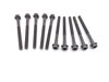 Cylinder head crew set (10 pieces) M11 x 1,5 x 140